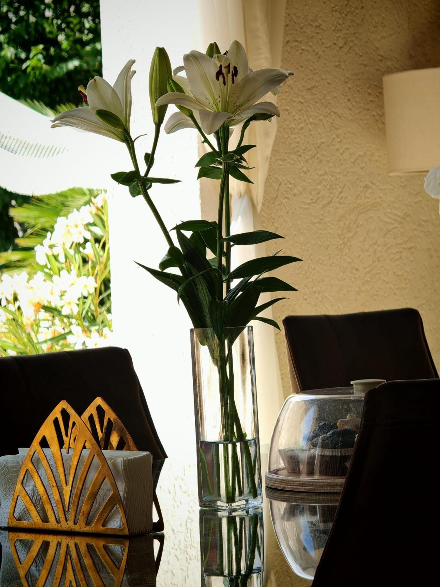Ilios Vama Veche Adult Only Hotell Exteriör bild